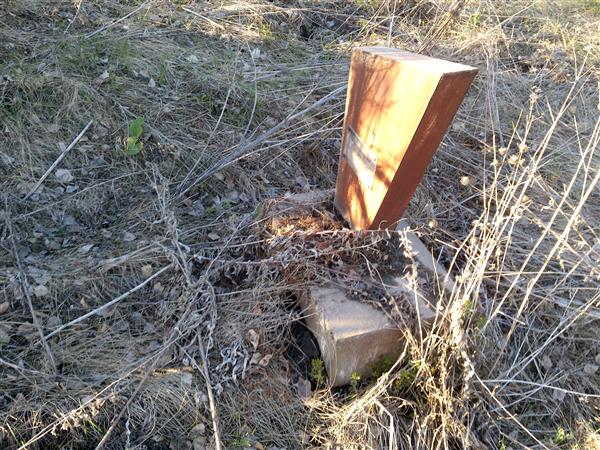 Кленовская Валентина Петровна