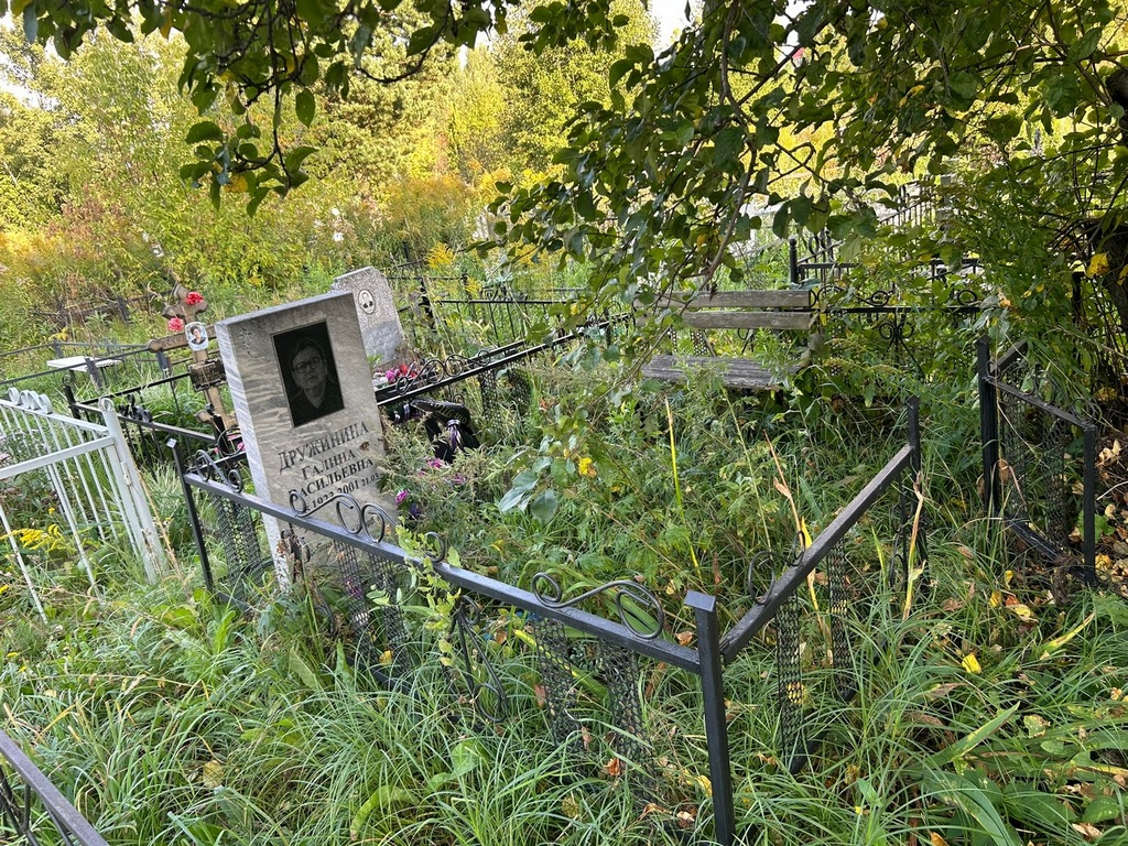 Дружинина Галина Васильевна