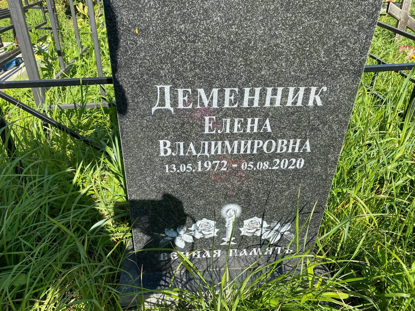 Деменник
