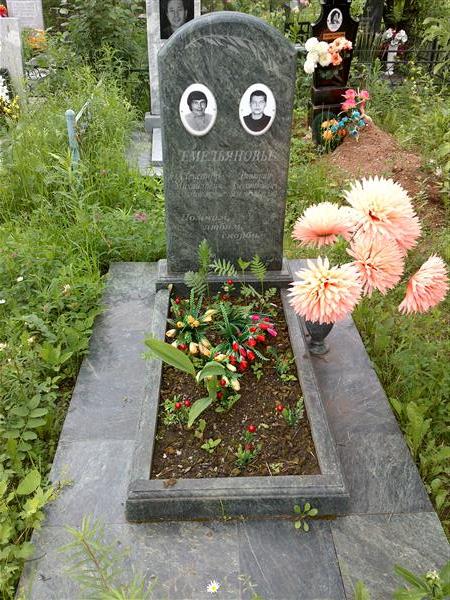 Емельянов Дмитрий Александрович