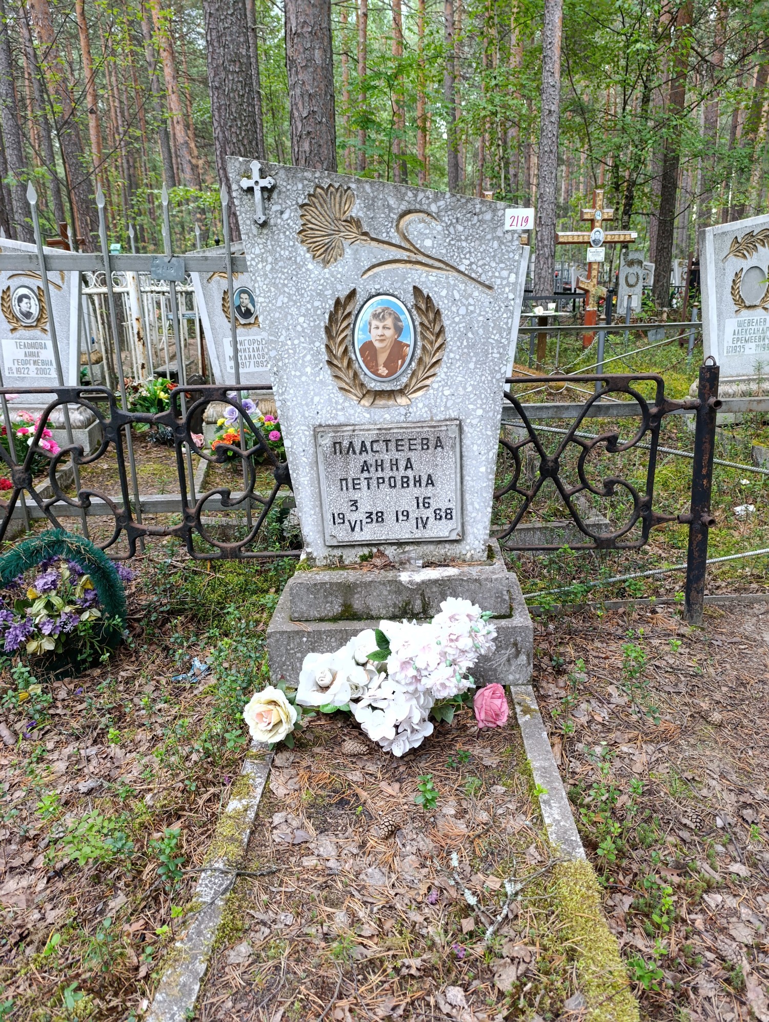 Пластеева Анна Петровна