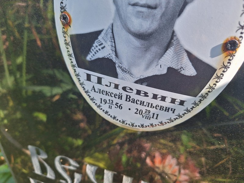 Плевин