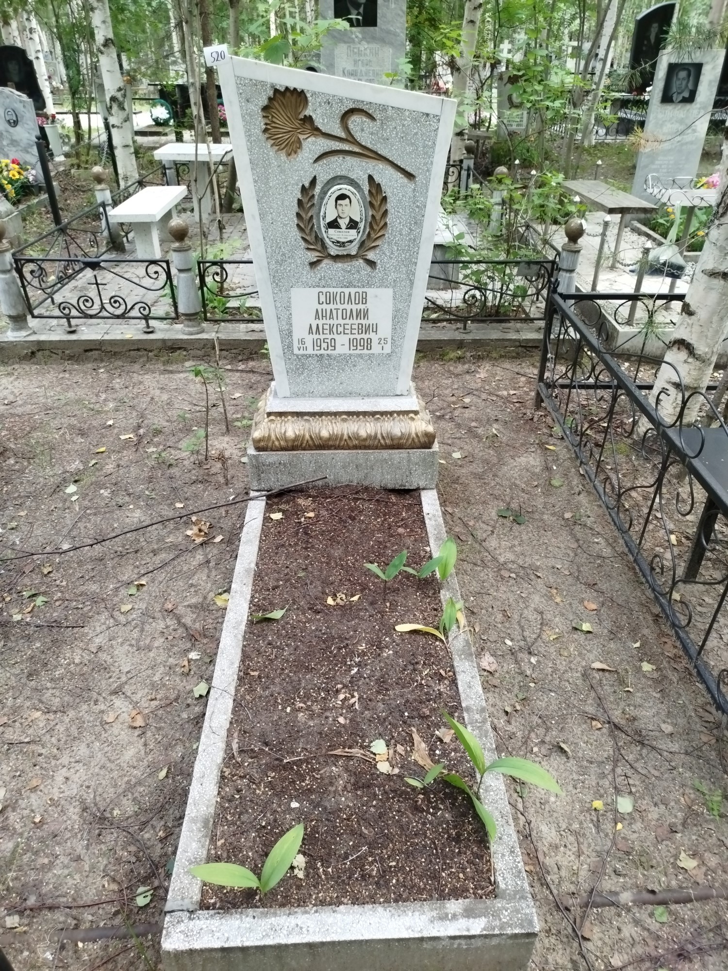 Соколов Анатолий Алексеевич