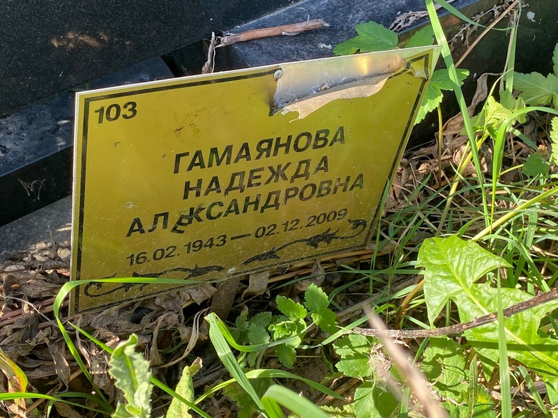 Гамаянова
