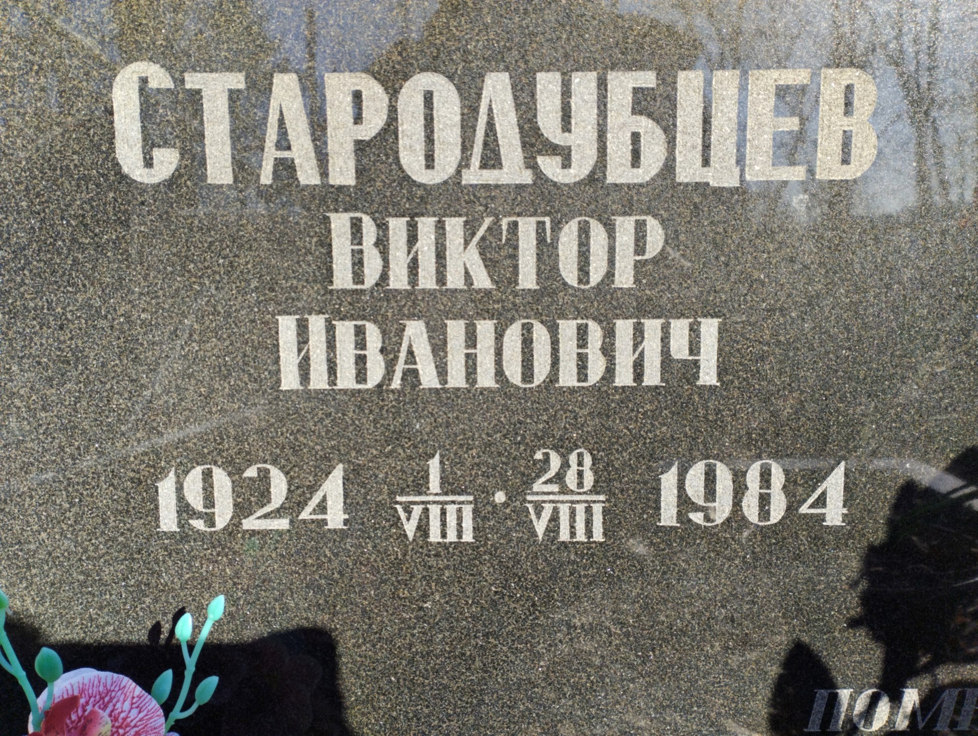 Стародубцева Тамара Васильевна
