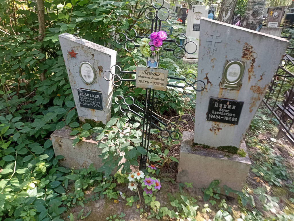 Левина Антонина Васильевна