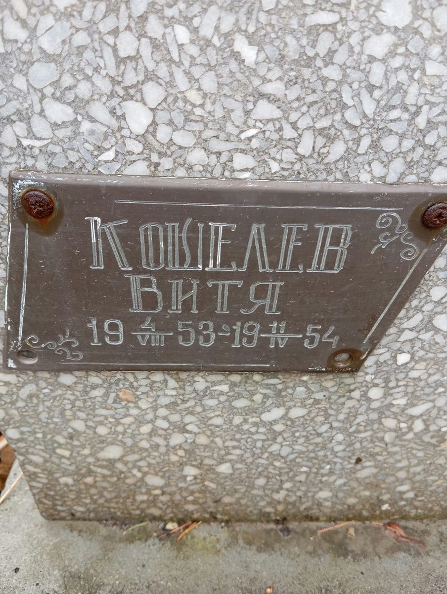 Кошелев Витя