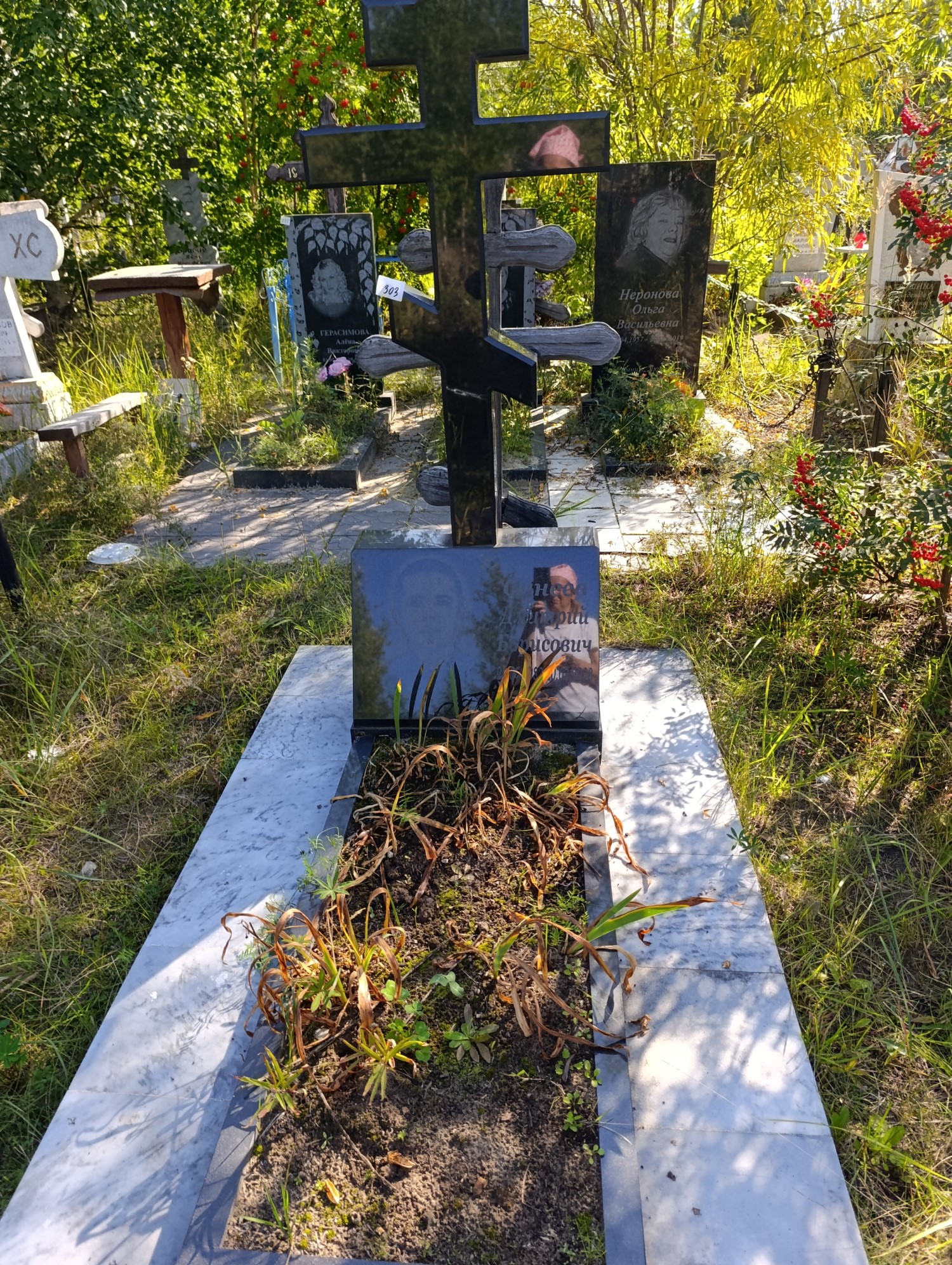 Синеев Дмитрий Борисович