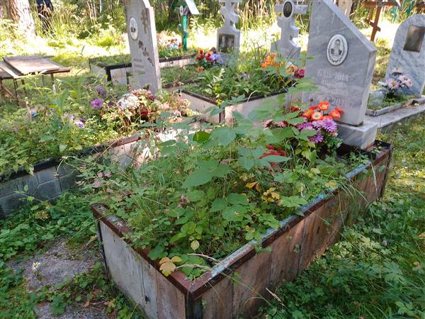 Баурина Анисья Семеновна