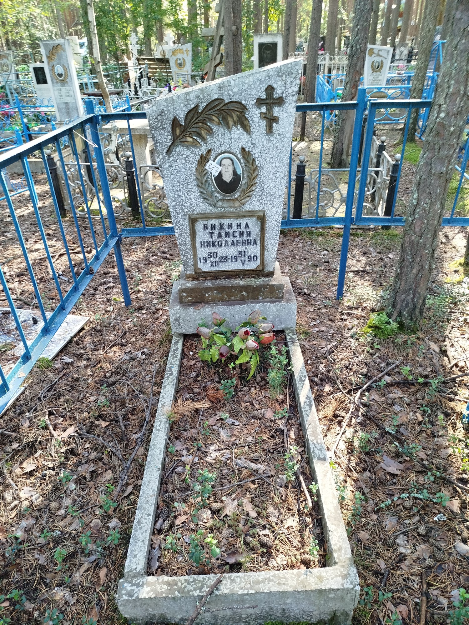 Викина Таисия Николаевна