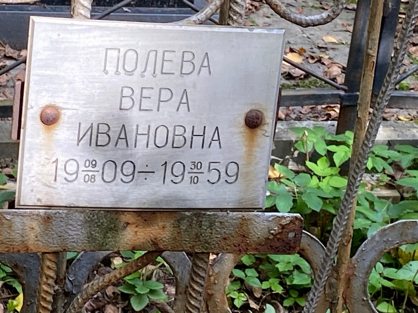 Полева