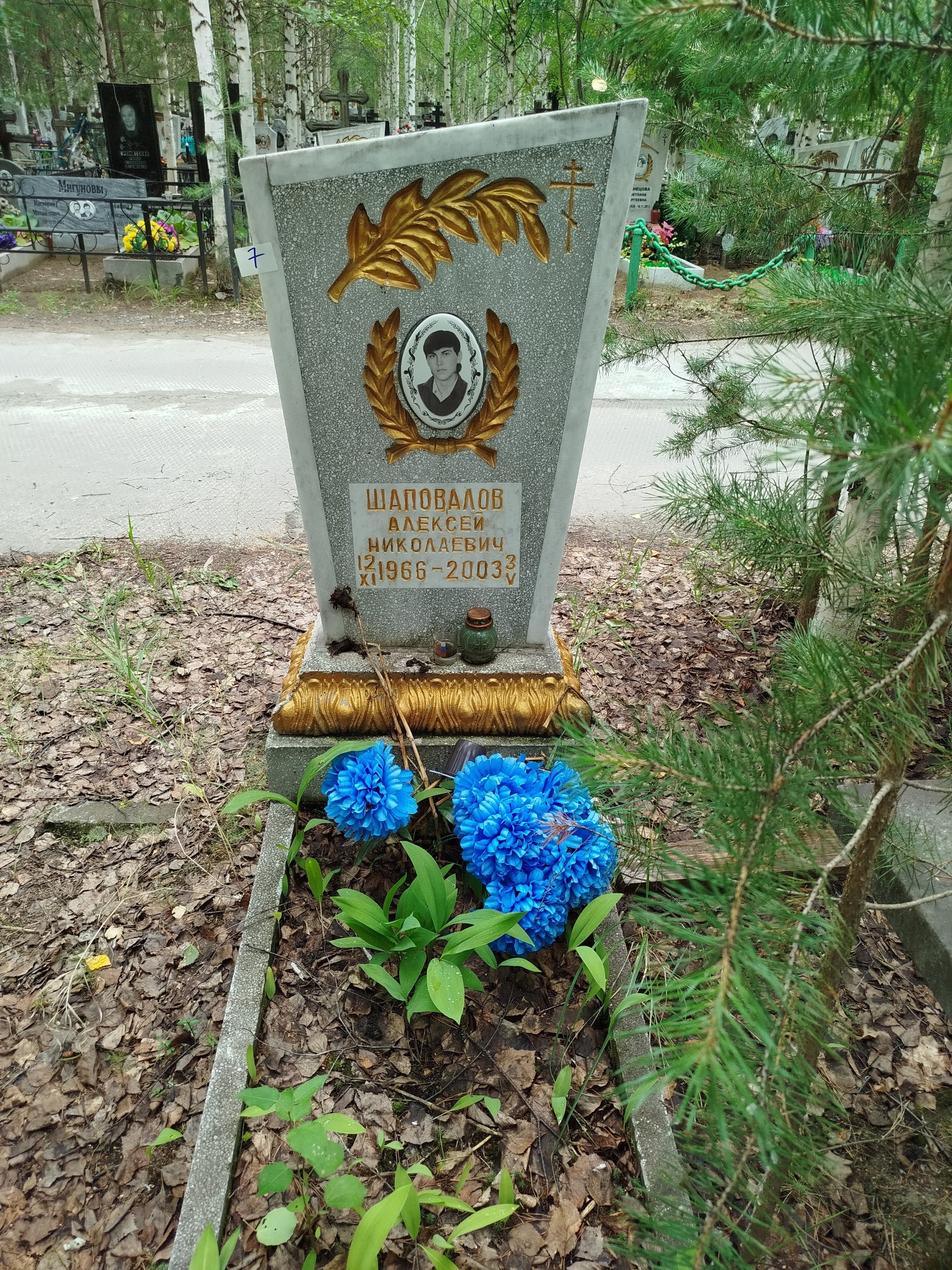 Шаповалов Алексей Николаевич