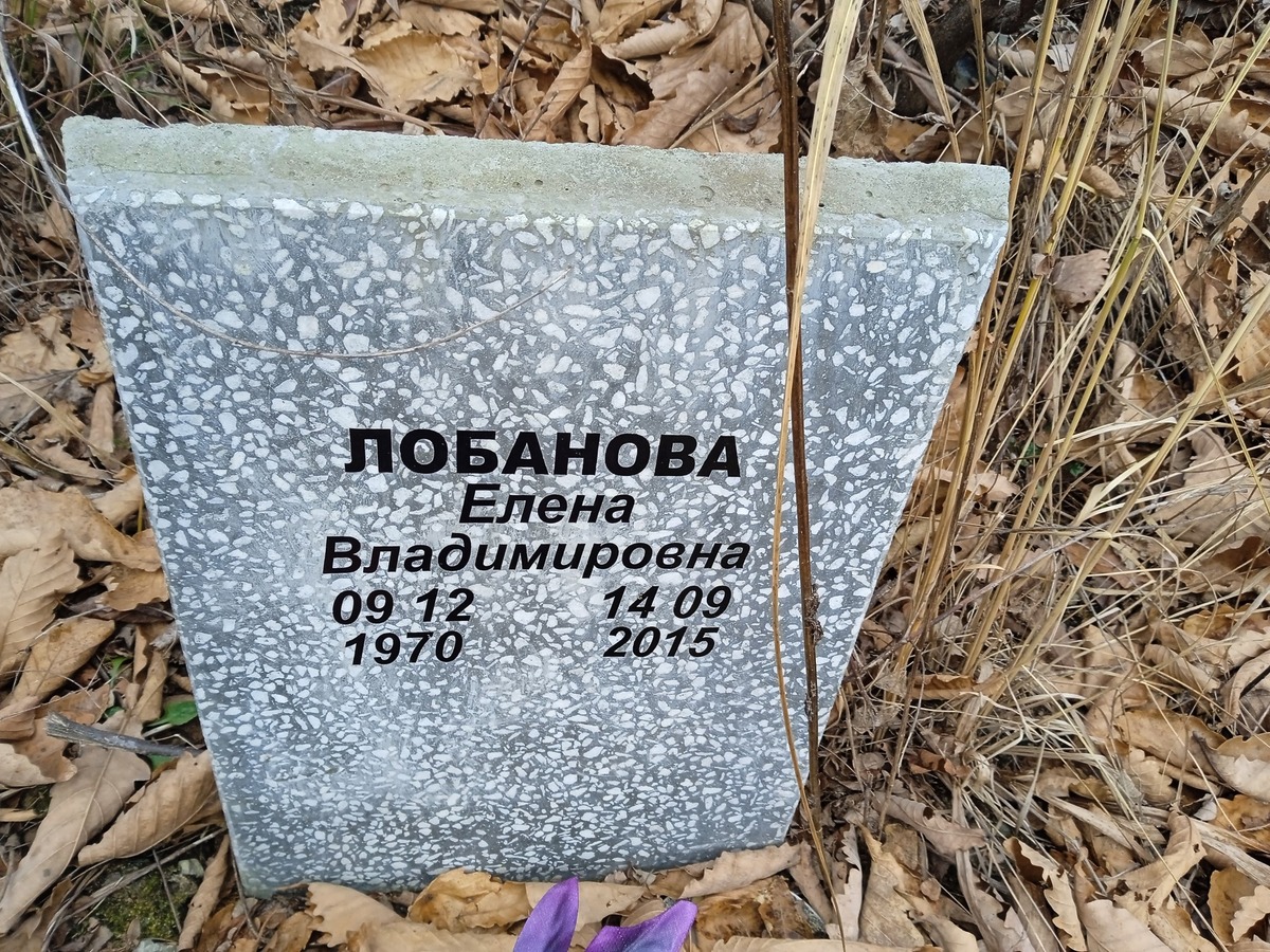 Лобанова Елена Владимировна