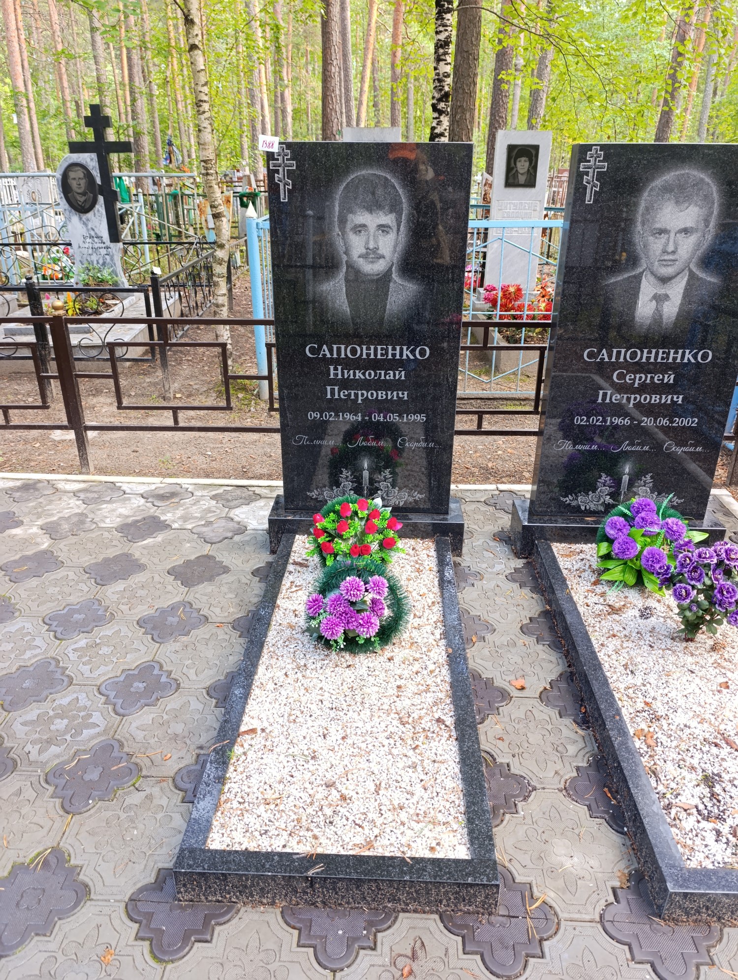 Сапоненко Николай Петрович