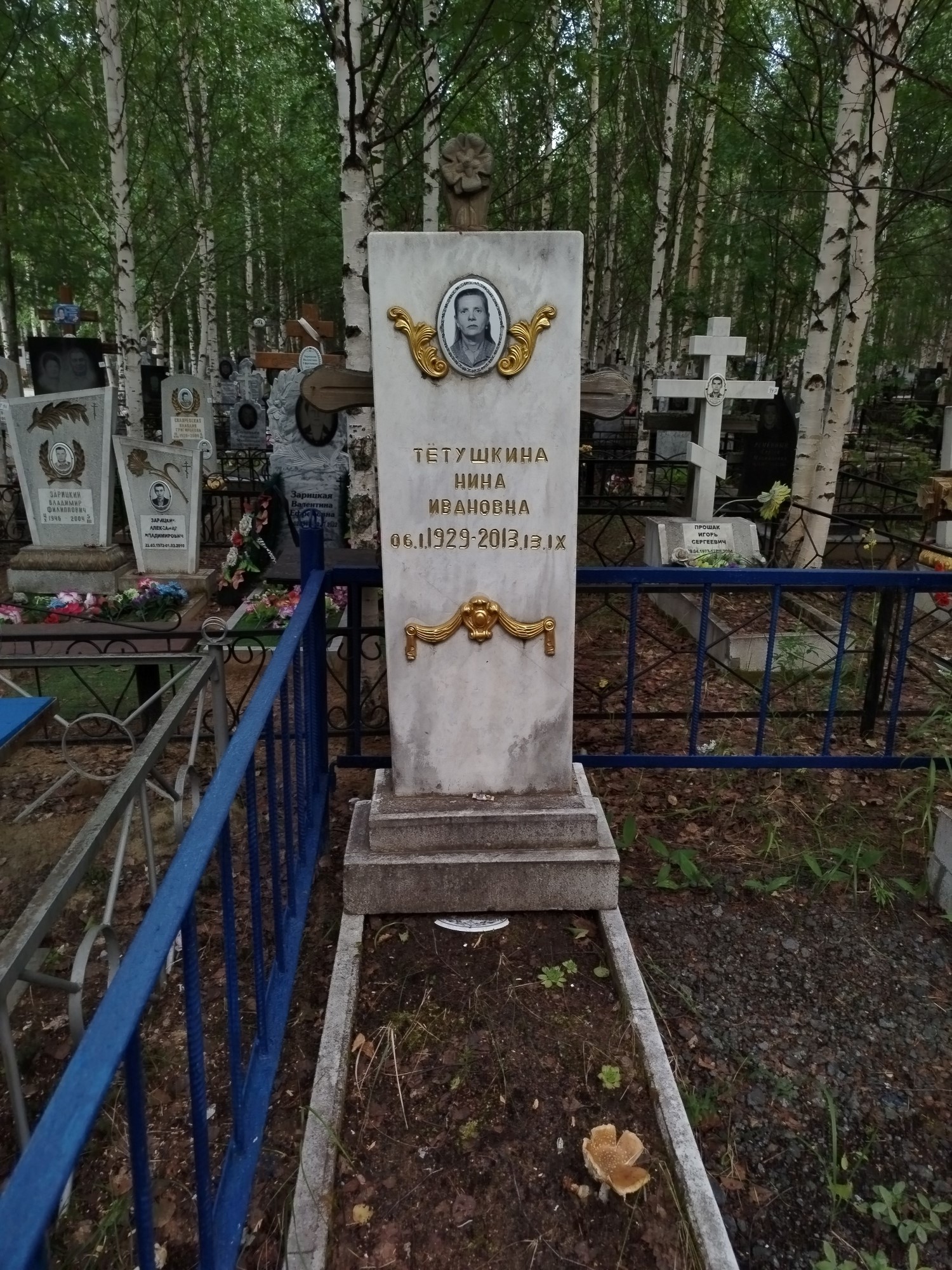 Тетушкина Нина Ивановна
