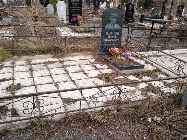 Палагин Виктор Васильевич