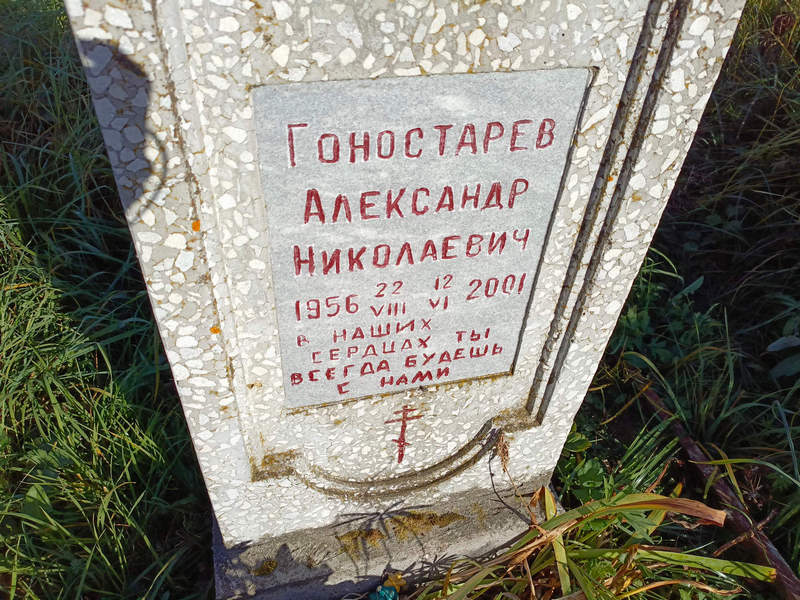 Гоностарев