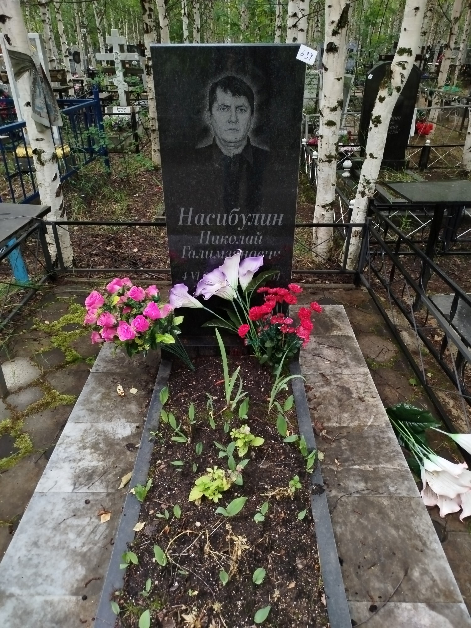 Насибулин Николай Галимзянович