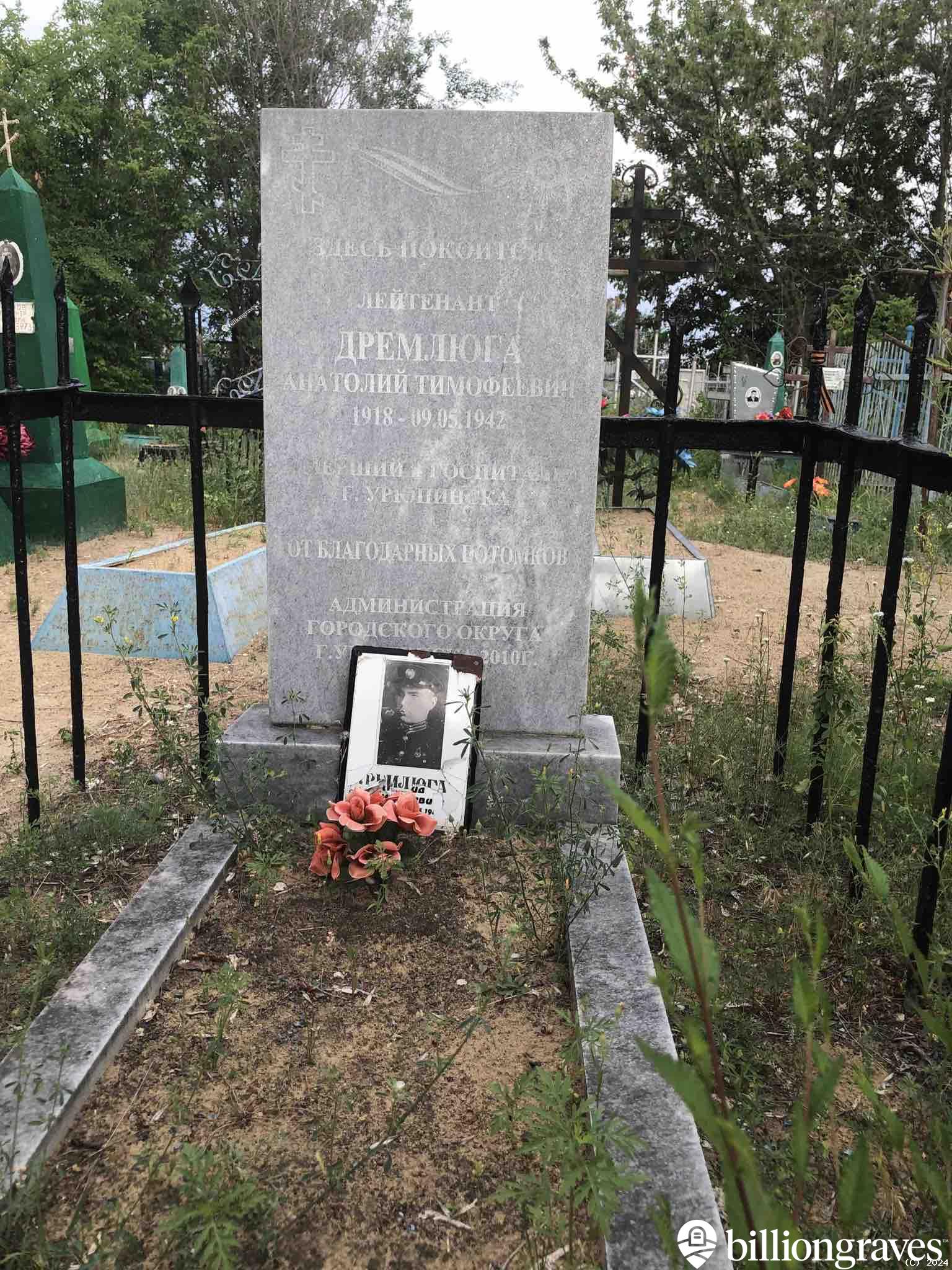 Дремлюга Анатолий Тимофеевич