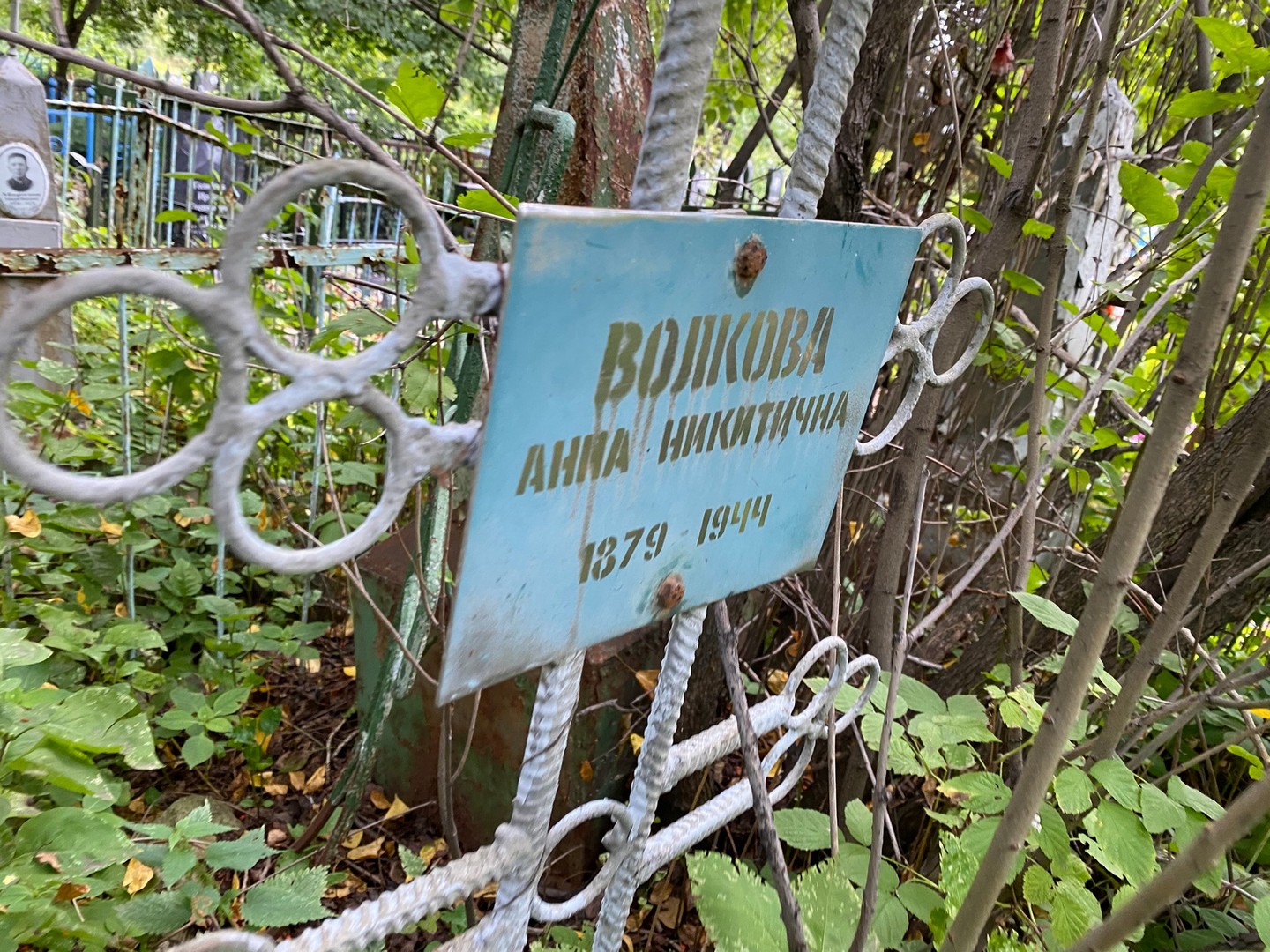 Волкова