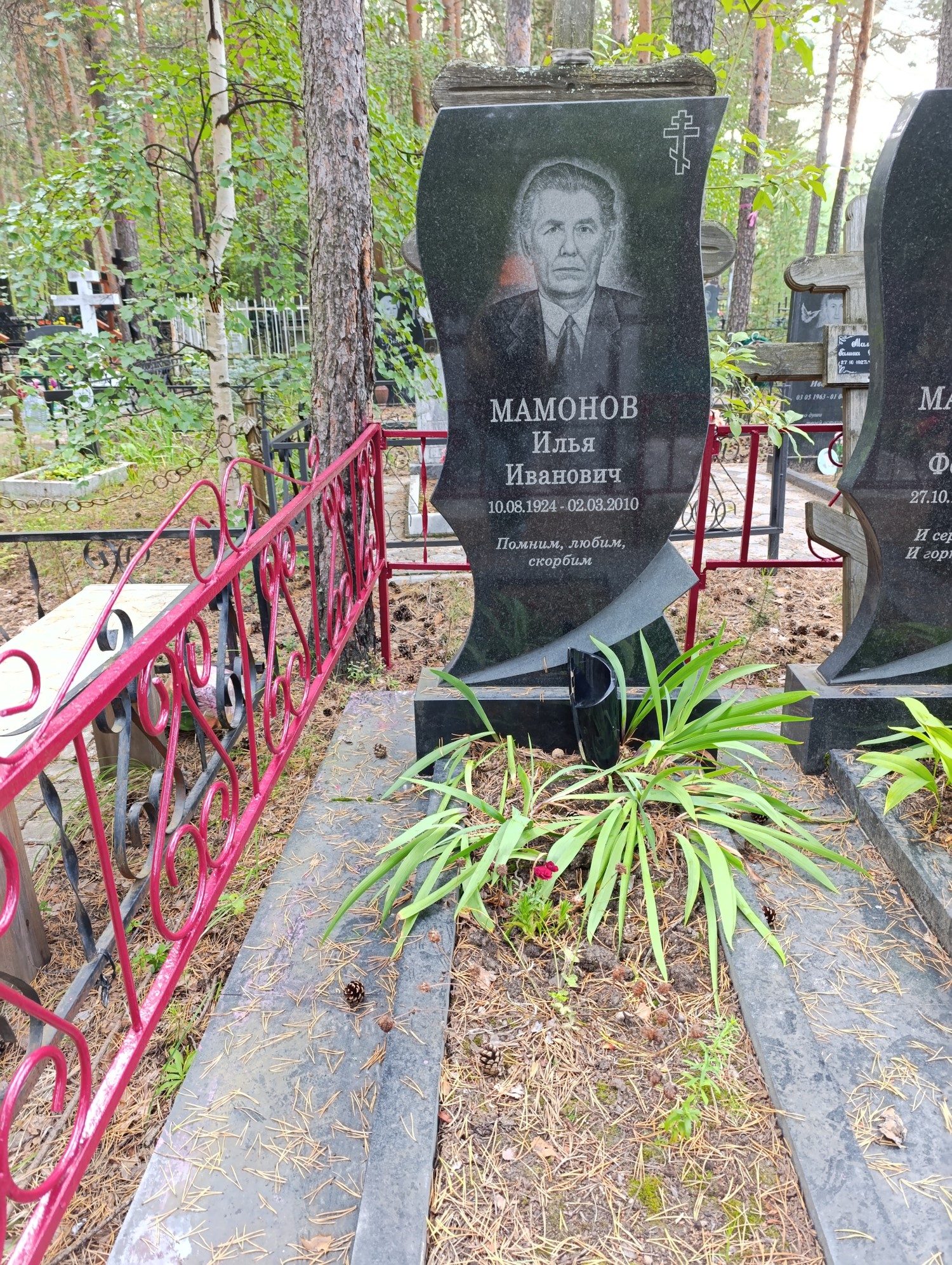 Мамонов Илья Иванович