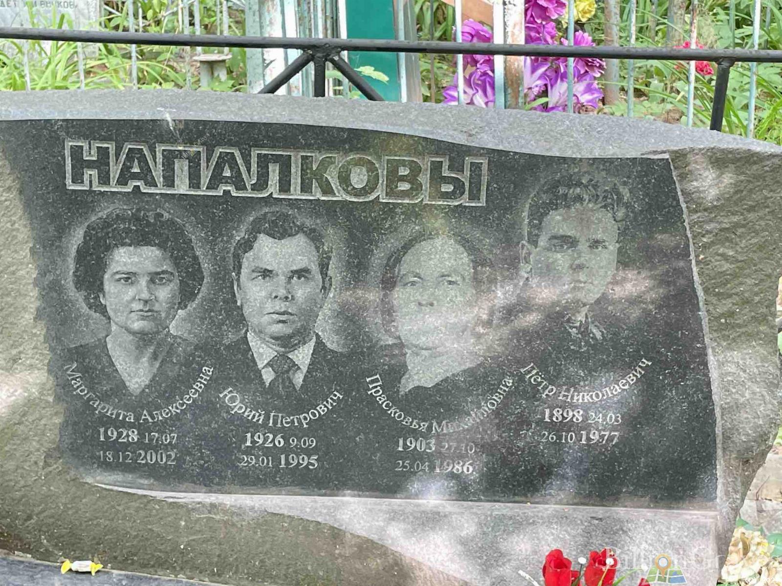 Напалков Пётр Николаевич
