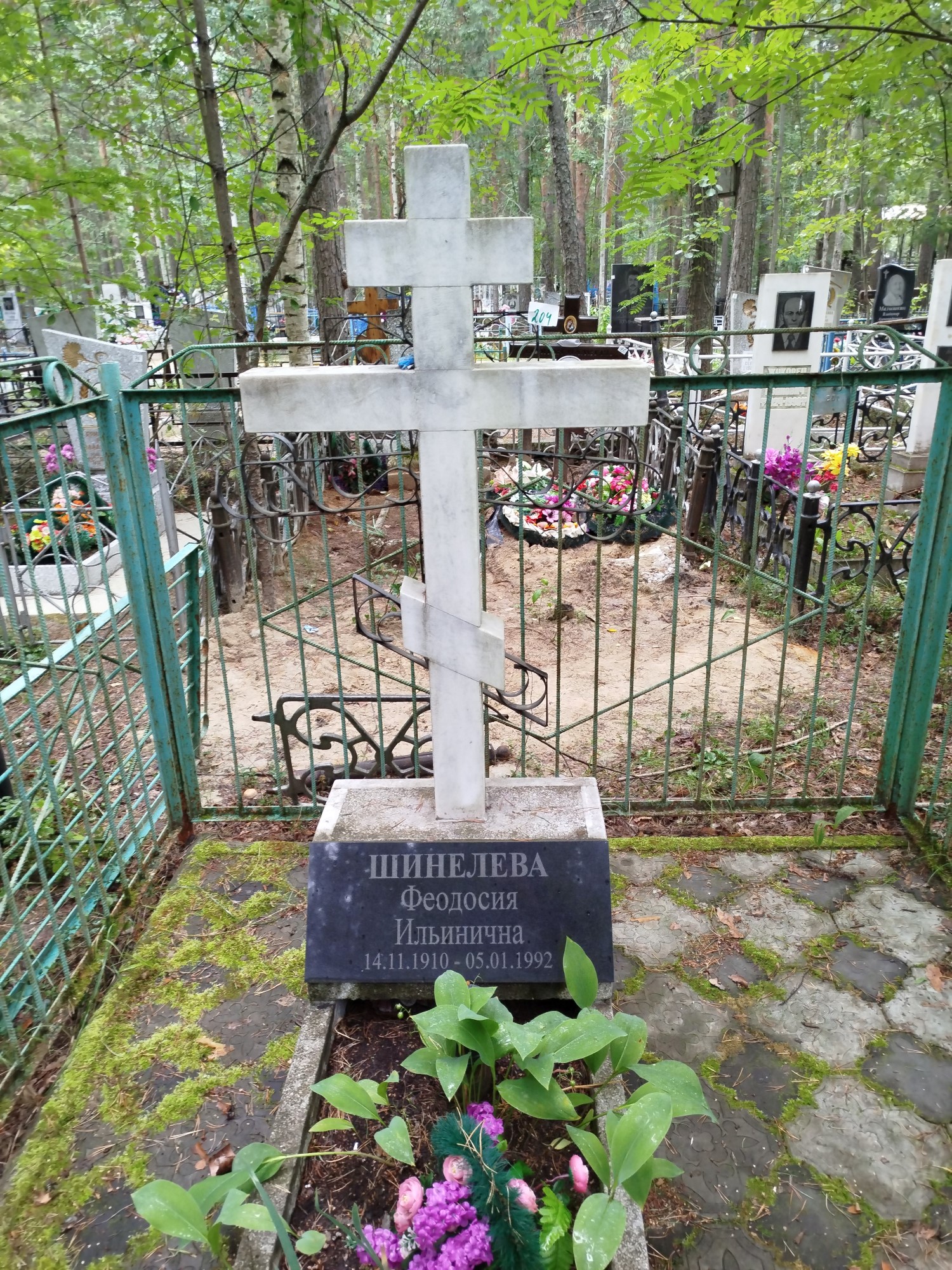 Шинелева Феодосия Ильинична
