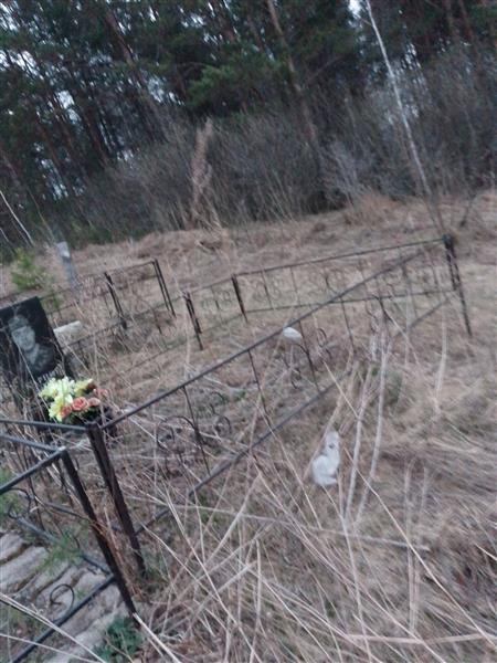 Карпов Дмитрий Анатольевич
