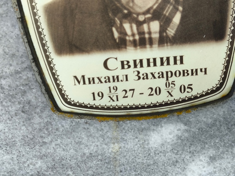 Свинин