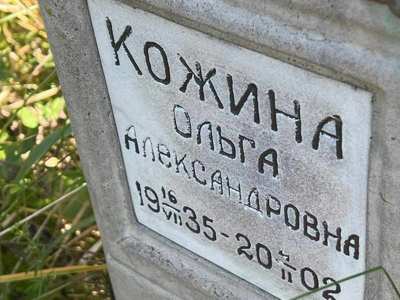 Кожина