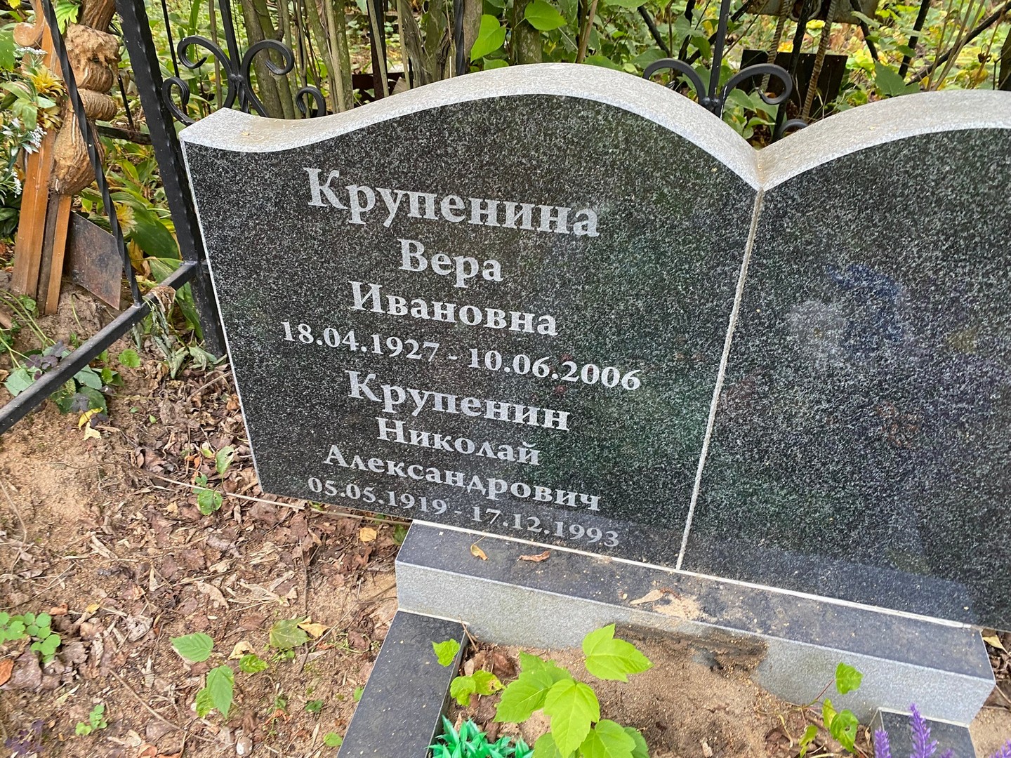Крупенина