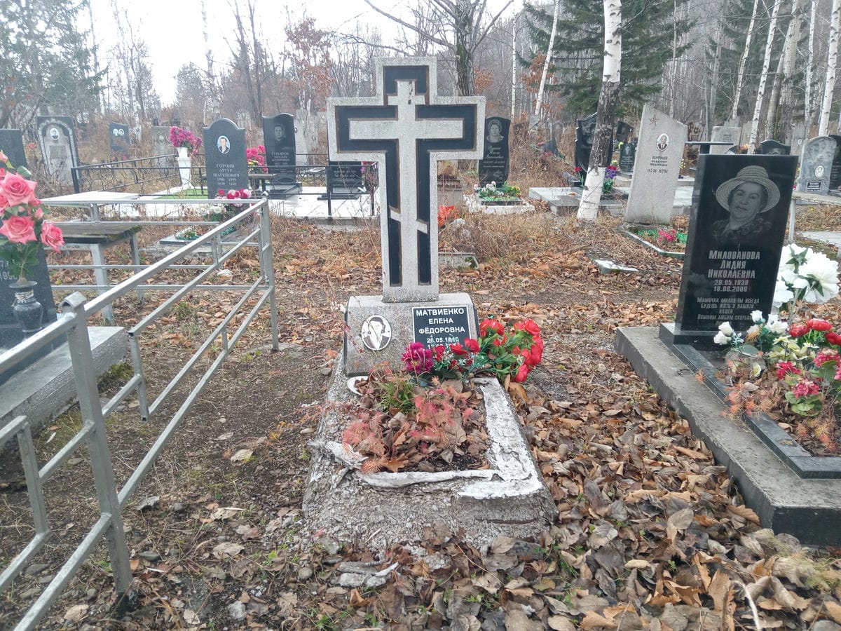 Матвиенко Елена Федоровна