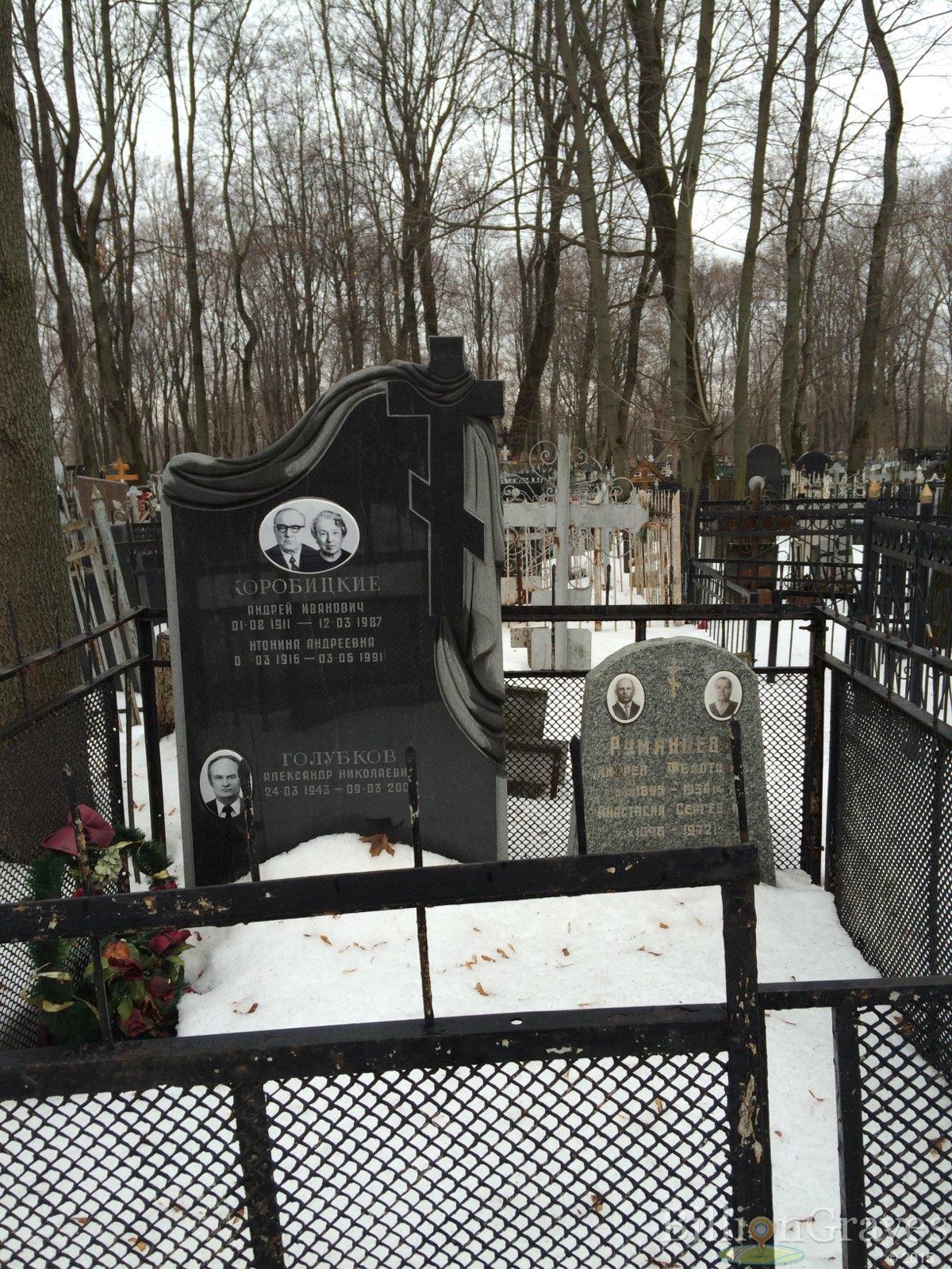 Голубков Александр Николаевич