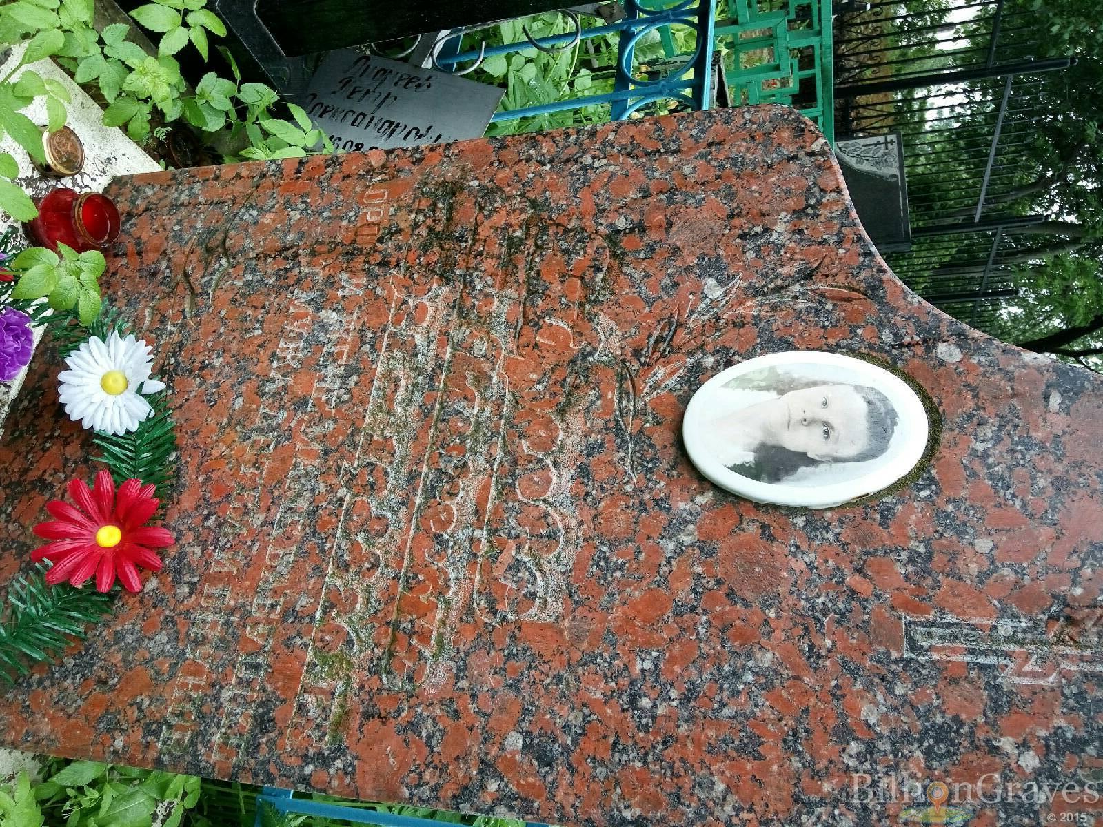 Андреева Анна Алексеевна