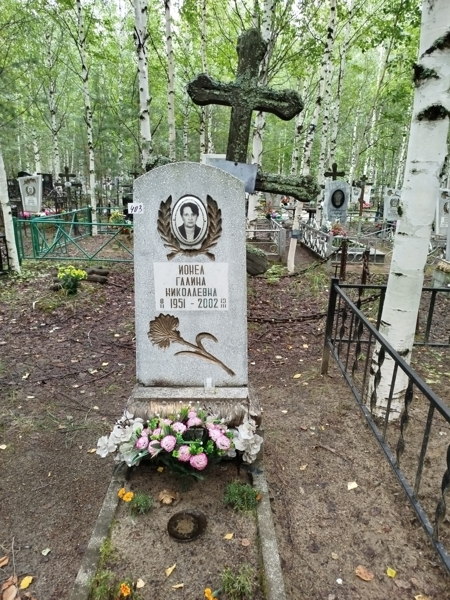 Ионел Галина Николаевна