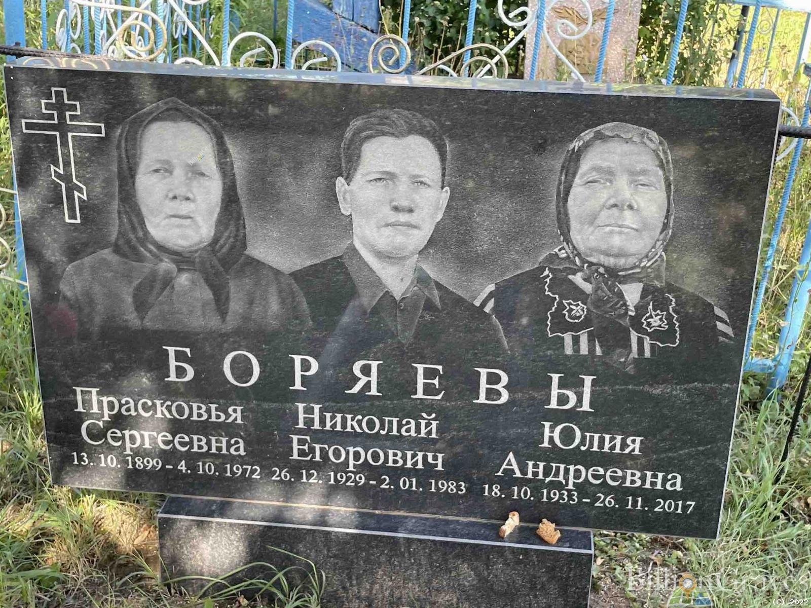 Боряев Николай Егорович