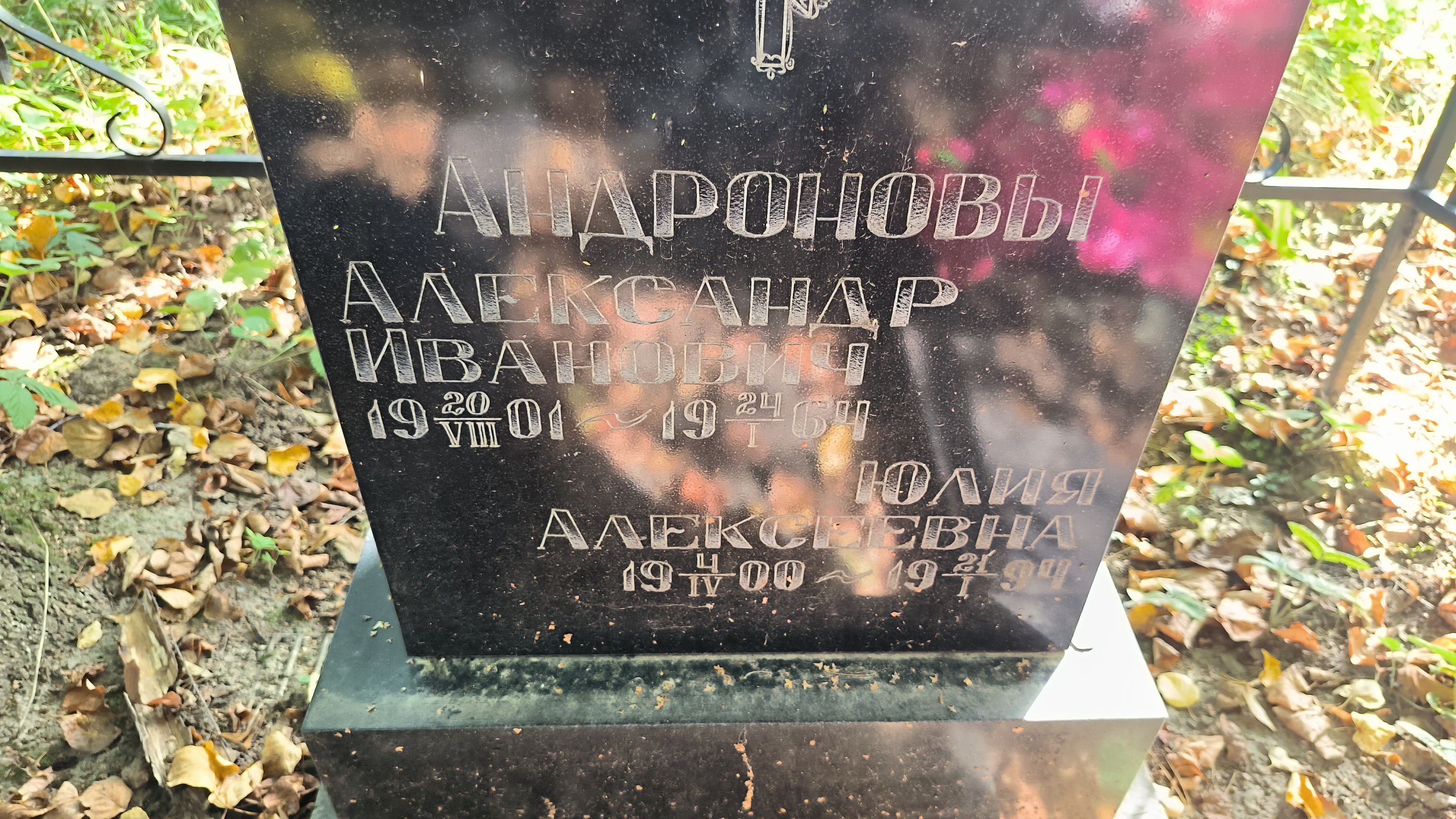 Андронов Александр Иванович