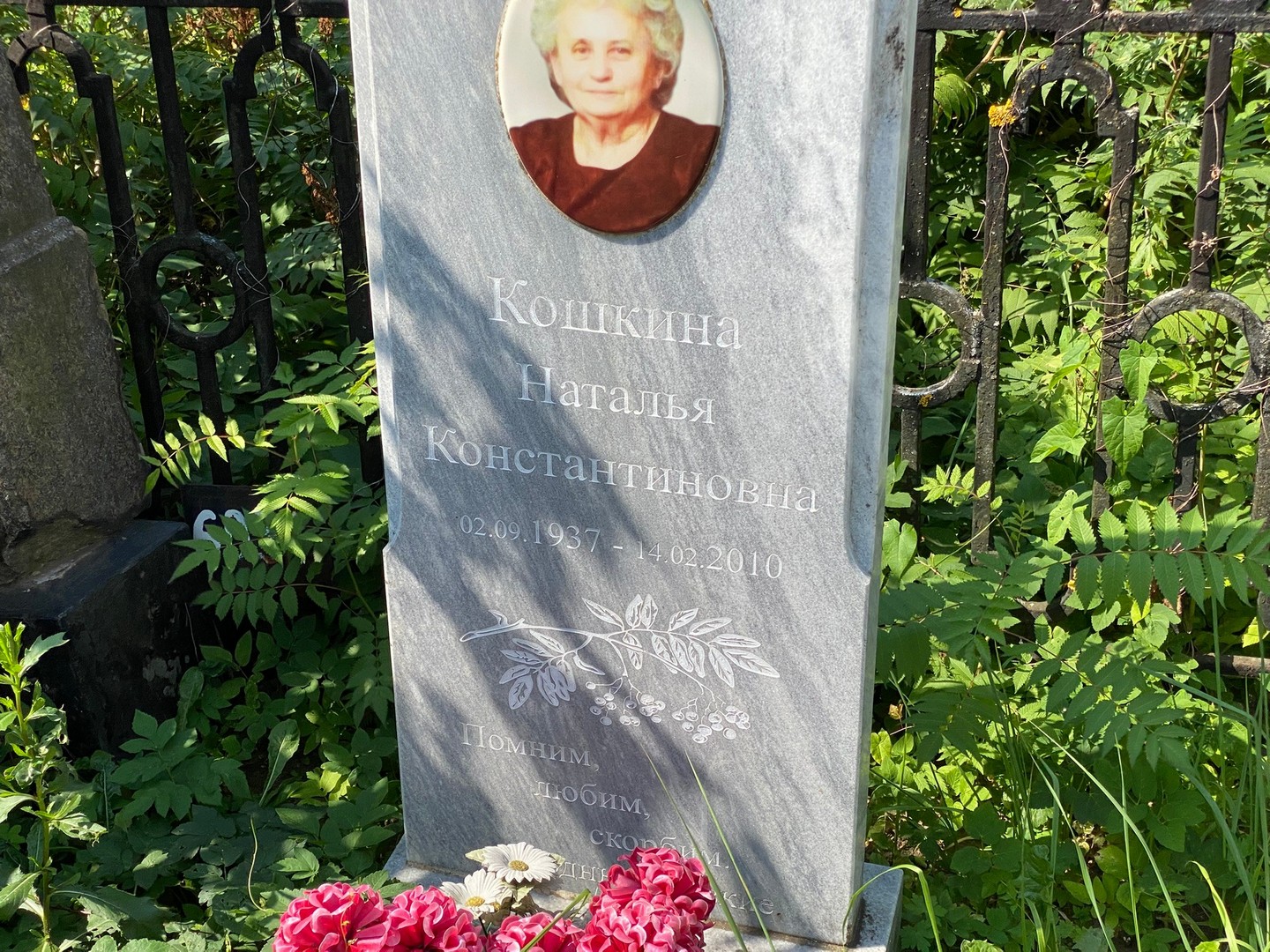 Кошкина
