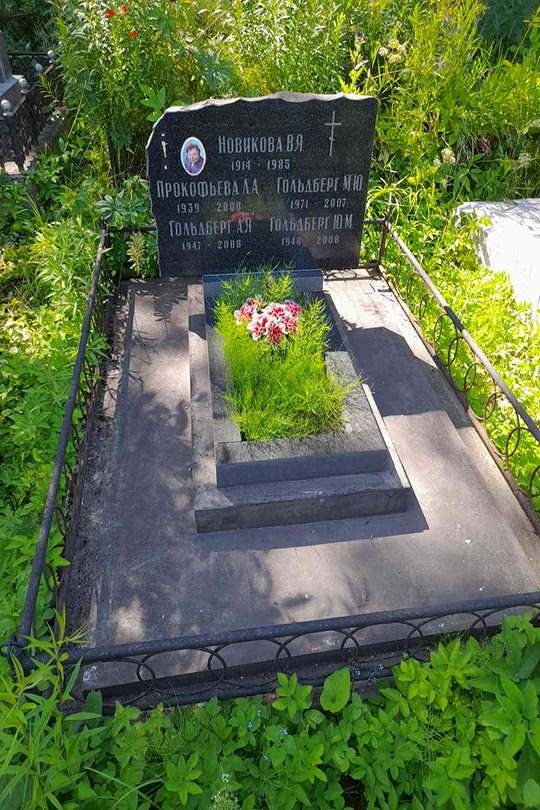 Гольдберг А. Я.