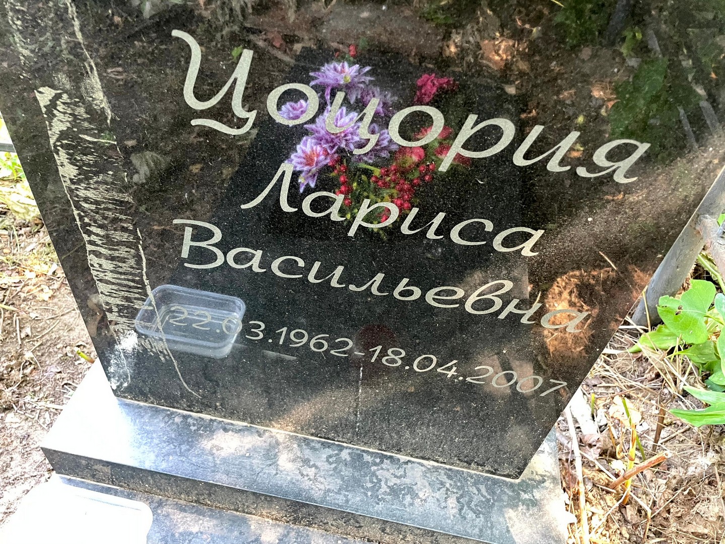 Цоцория