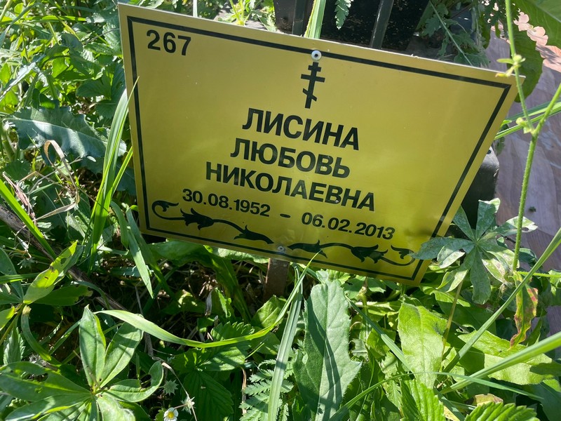 Лисина