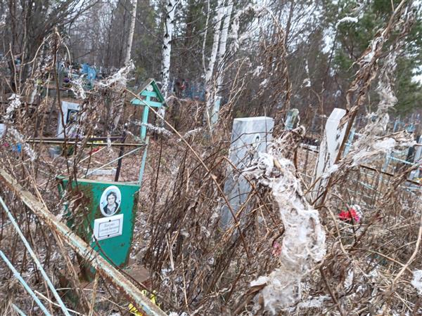 Павлюк Александр Николаевич