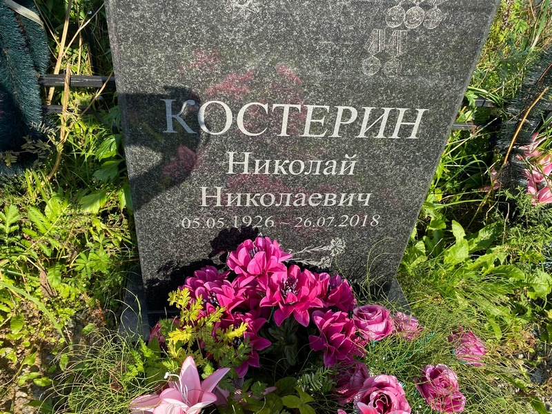 Костерин