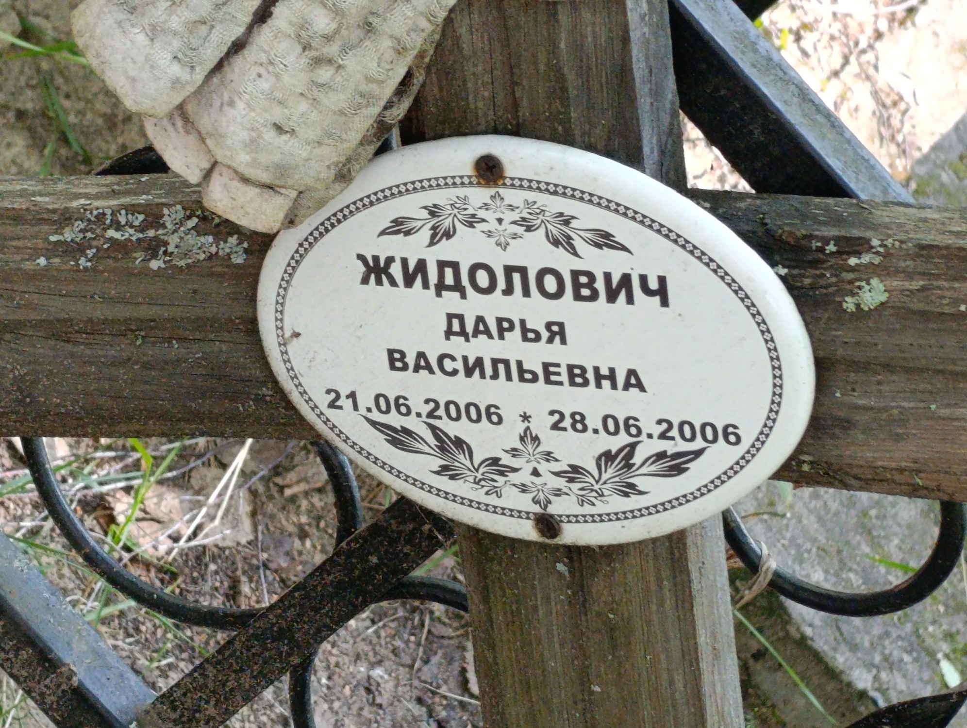Жидолович Дарья Васильевна