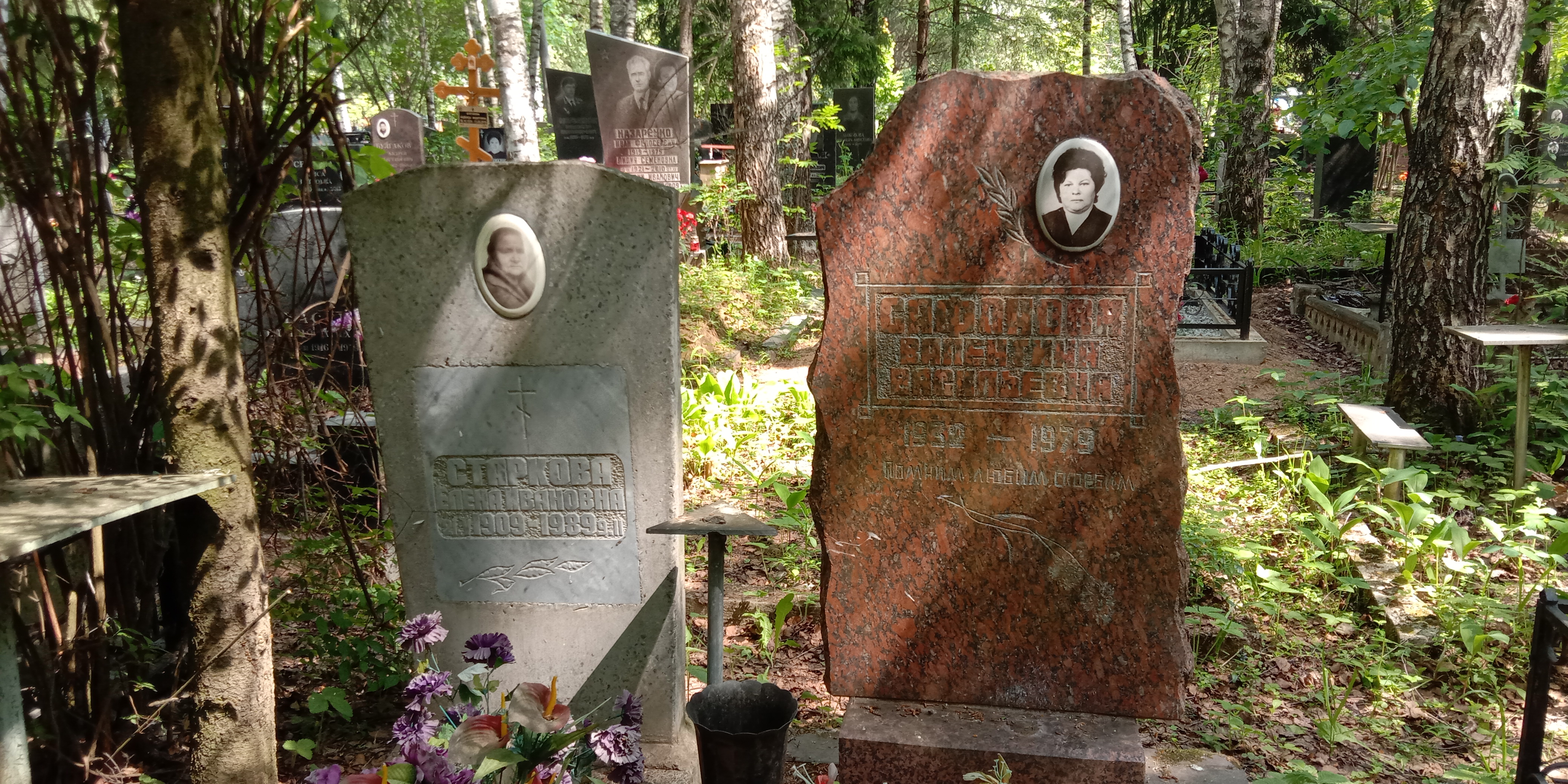 Старкова Елена Ивановна