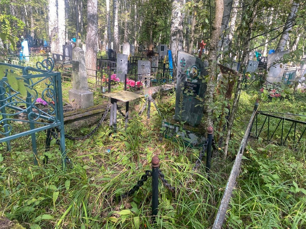 Памятин Юрий Николаевич