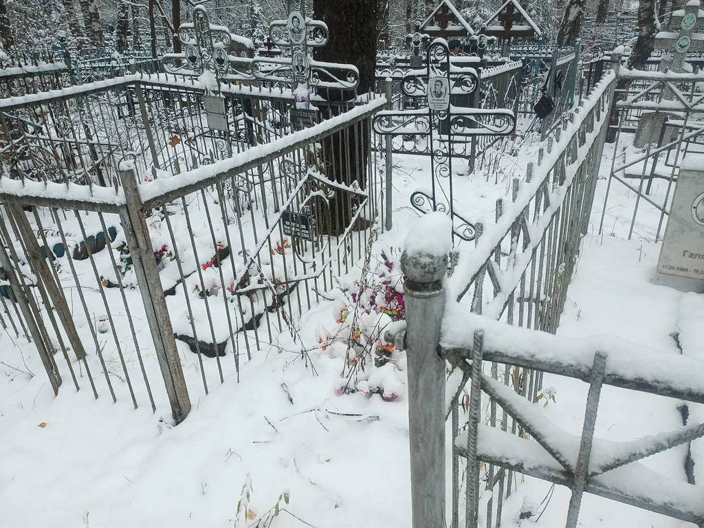 Сотников Герман Евгеньевич