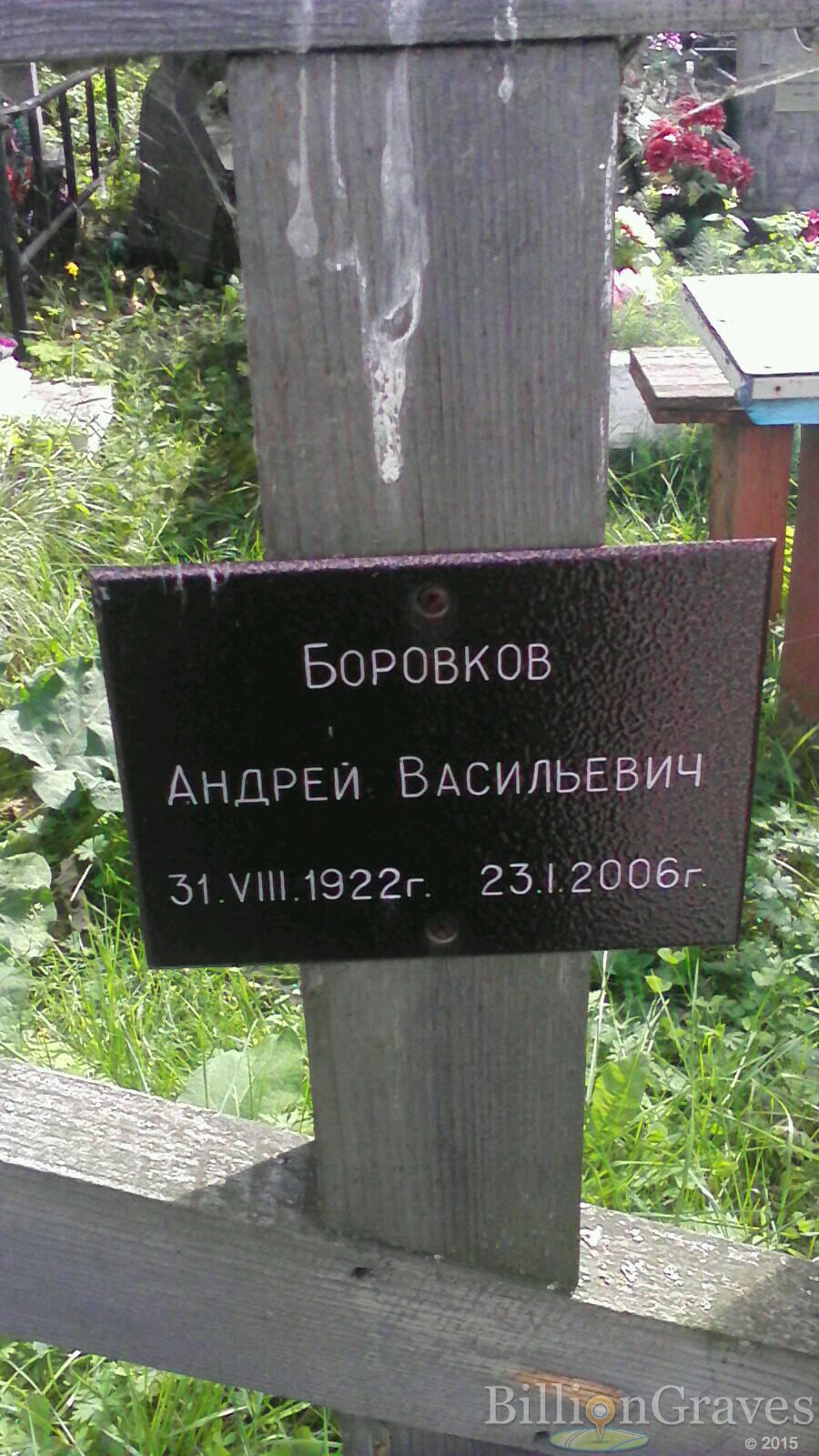 Боровков Андрей Васильевич