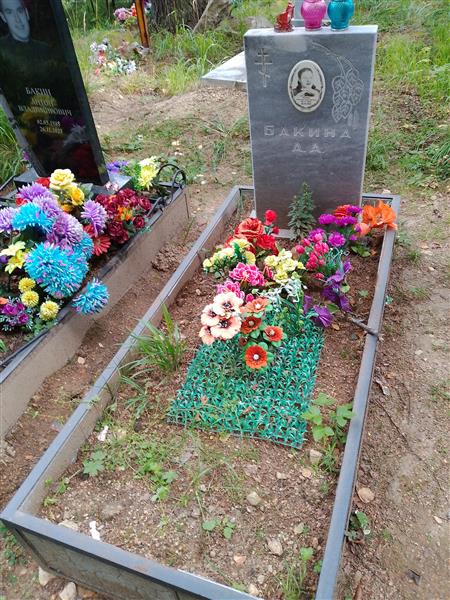 Бакина Анастасия Александровна