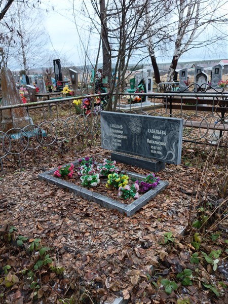 Савельев Владимир Александрович